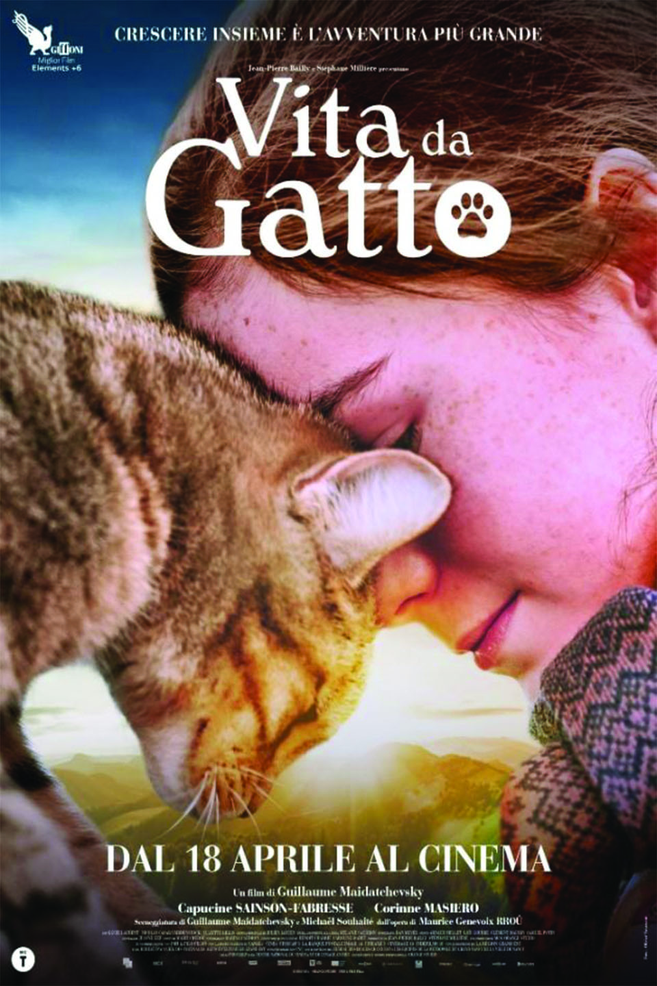 Vita da Gatto